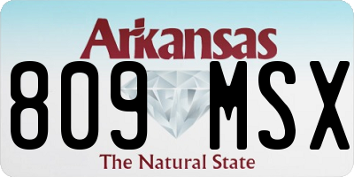 AR license plate 809MSX