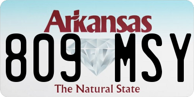 AR license plate 809MSY