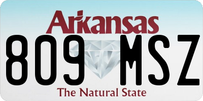 AR license plate 809MSZ