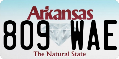 AR license plate 809WAE