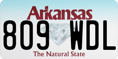 AR license plate 809WDL