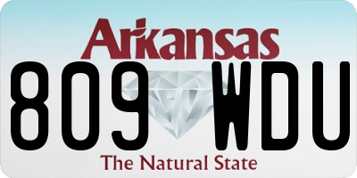 AR license plate 809WDU