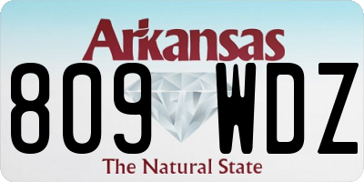 AR license plate 809WDZ