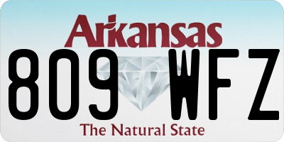 AR license plate 809WFZ