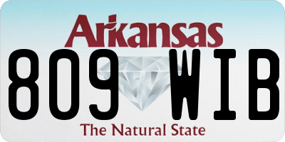 AR license plate 809WIB