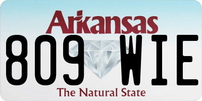 AR license plate 809WIE