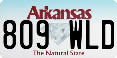 AR license plate 809WLD