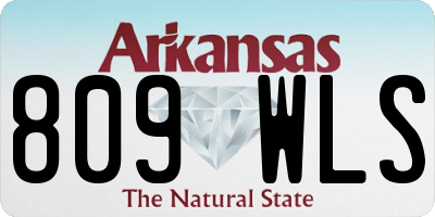 AR license plate 809WLS