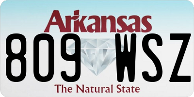 AR license plate 809WSZ