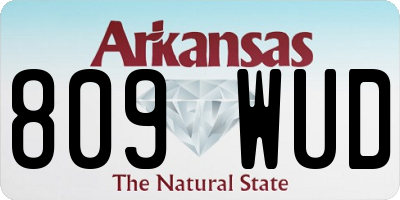 AR license plate 809WUD