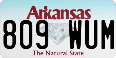 AR license plate 809WUM