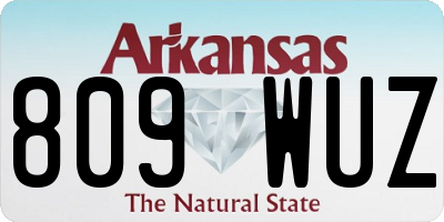 AR license plate 809WUZ
