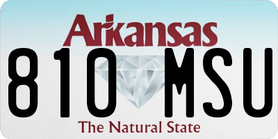 AR license plate 810MSU