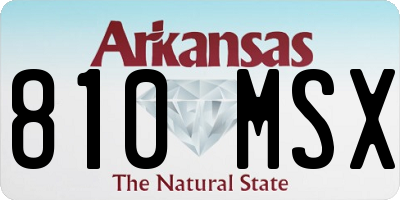 AR license plate 810MSX
