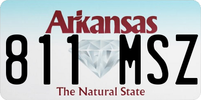 AR license plate 811MSZ