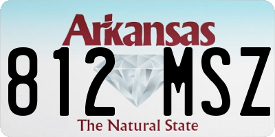 AR license plate 812MSZ