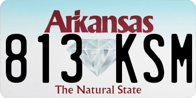 AR license plate 813KSM