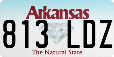 AR license plate 813LDZ