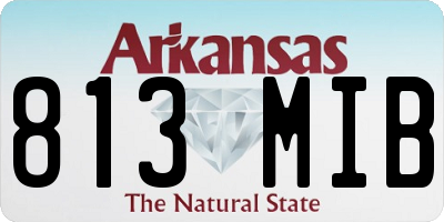 AR license plate 813MIB