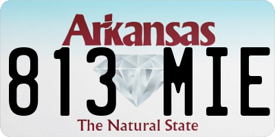 AR license plate 813MIE