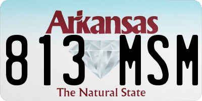 AR license plate 813MSM