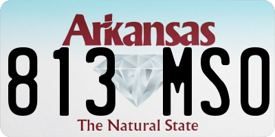 AR license plate 813MSO