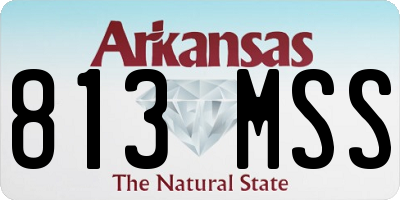 AR license plate 813MSS