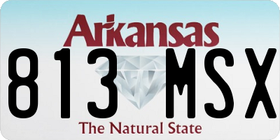 AR license plate 813MSX