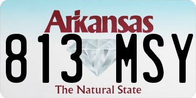AR license plate 813MSY