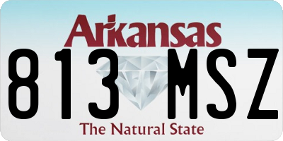 AR license plate 813MSZ