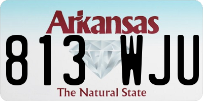 AR license plate 813WJU