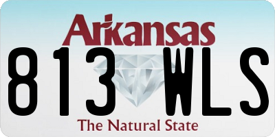 AR license plate 813WLS