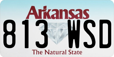 AR license plate 813WSD