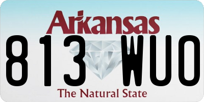 AR license plate 813WUO