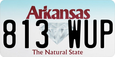 AR license plate 813WUP