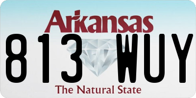 AR license plate 813WUY
