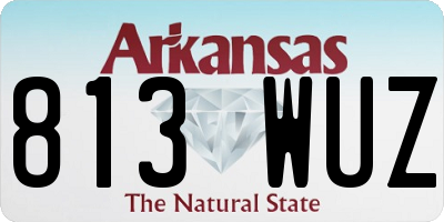 AR license plate 813WUZ