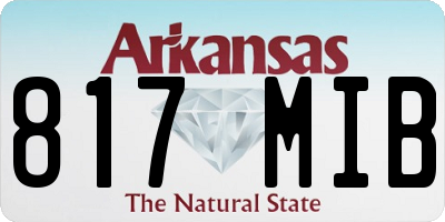 AR license plate 817MIB