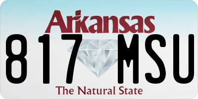 AR license plate 817MSU