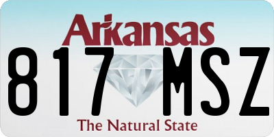 AR license plate 817MSZ