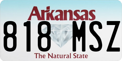 AR license plate 818MSZ
