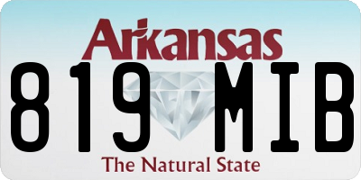 AR license plate 819MIB