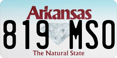 AR license plate 819MSO