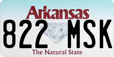 AR license plate 822MSK