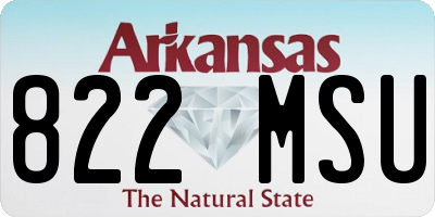 AR license plate 822MSU
