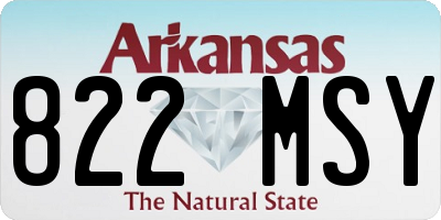 AR license plate 822MSY