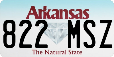 AR license plate 822MSZ