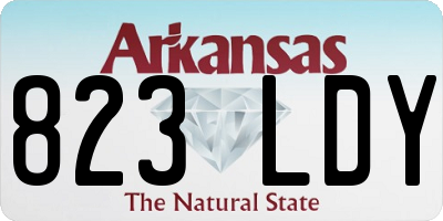 AR license plate 823LDY