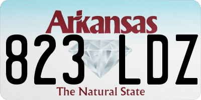 AR license plate 823LDZ
