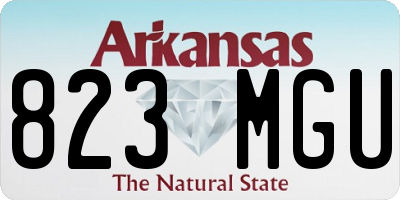 AR license plate 823MGU